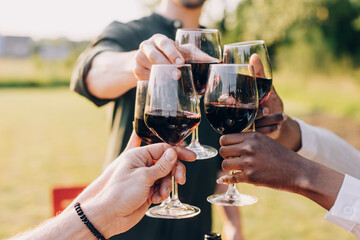 clinking glasses in wine taste - celebration together in birthday picnic party in backyard