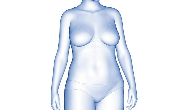 Animation of a woman's fitness transformation