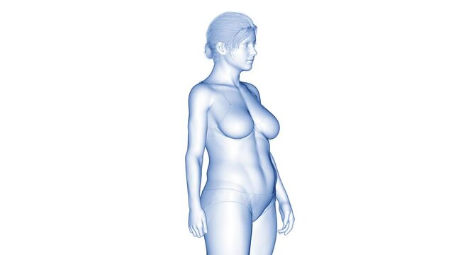 Animation of a woman's fitness transformation