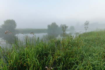 morning in the field