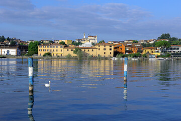Fototapeta na wymiar LAGO D'ISEO CON CIHNO, ITALIA, LAKE ISEO WITH SWAN IN ITALY