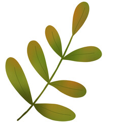 colorful autumn leaves