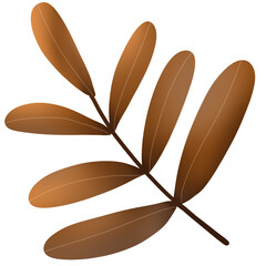 colorful autumn leaves