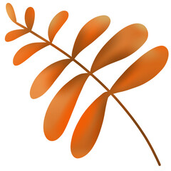 colorful autumn leaves