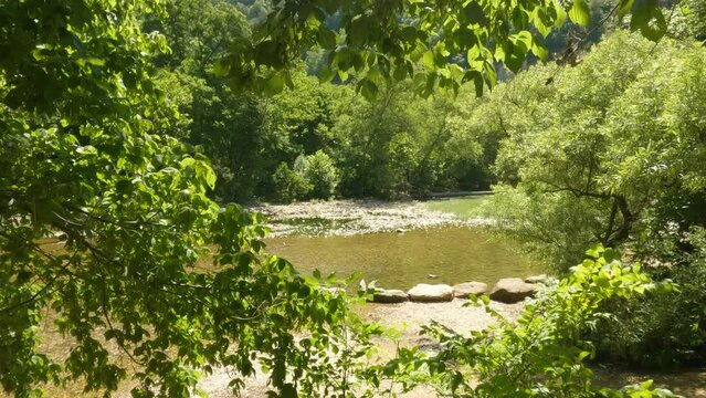 Still shot peeking through rustling trees onto a serene river in wilderness.