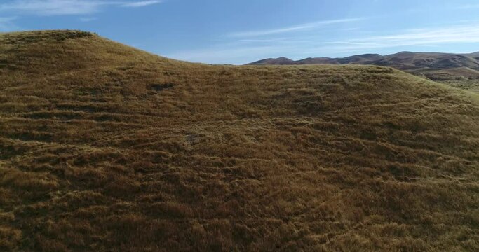 4k drone reveal flyover fresh burn scars on golden hills in central California. this video was shot at 60 fps.