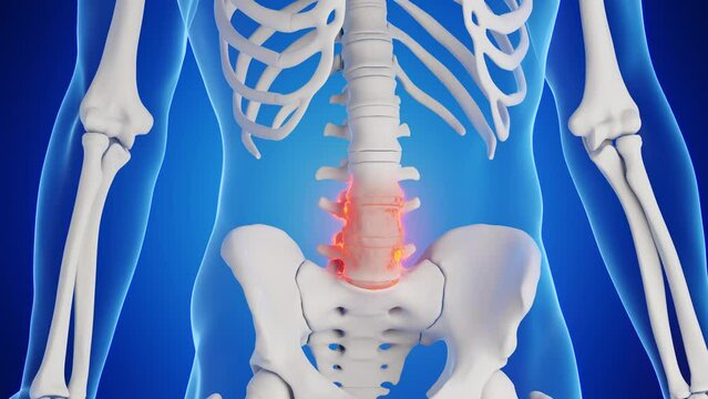 Animation of a man's lumbar spine