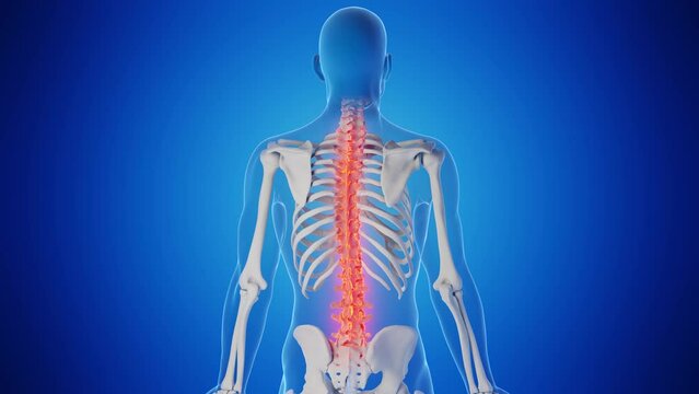 Animation of a man's spinal column
