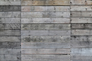 Obraz premium Wood texture. Surface of teak wood background for design and decoration.