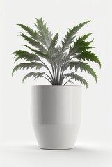 houseplant in pot isolated white background, interior design, botanical concept. Generative AI
