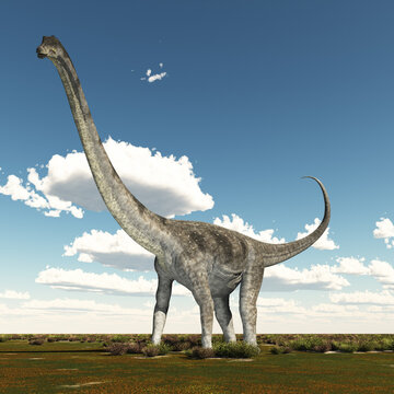 Dinosaurier Puertasaurus in einer Landschaft