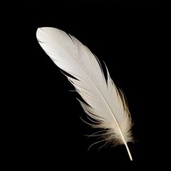 flying feather on black background, ai generated