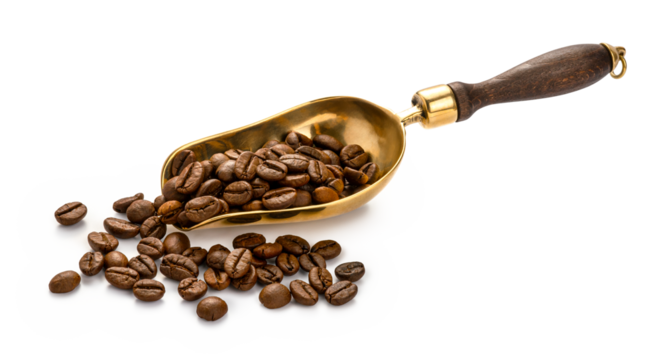 Scoop of coffee beans. Coffee beans in scoop isolated.