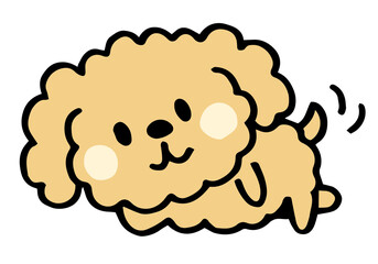 ゆるい手描きのトイプードル　ごろ寝ポーズ