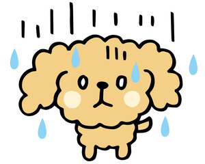 ゆるい手描きのトイプードル　あせあせポーズ