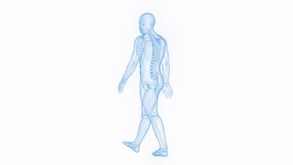 Animation of a man walking