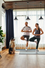 Joyful couple in sportswear standing in yoga pose on fitness mats near border collie at home