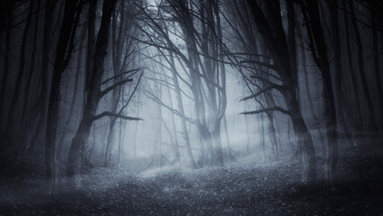 fog in dark forest at night, mysterious horror background