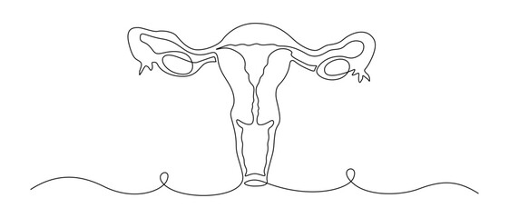 One continuous line drawing of woman uterus. Ovary and womb reproductive system in simple linear style for logo and web banner gynecology medical clinic. Editable stroke. Doodle vector illustration