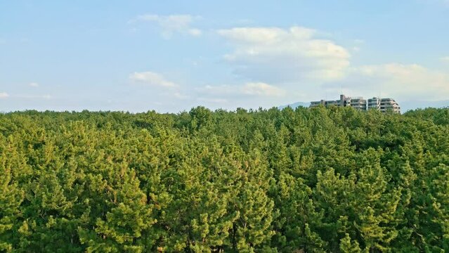 [Drone] Blue sky and white clouds, rising from the forest spreading all over, the cityscape that can be seen