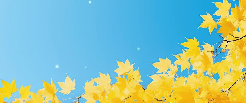 Anamorphic video branches with beautiful green and yellow leaves on autumn sunny day