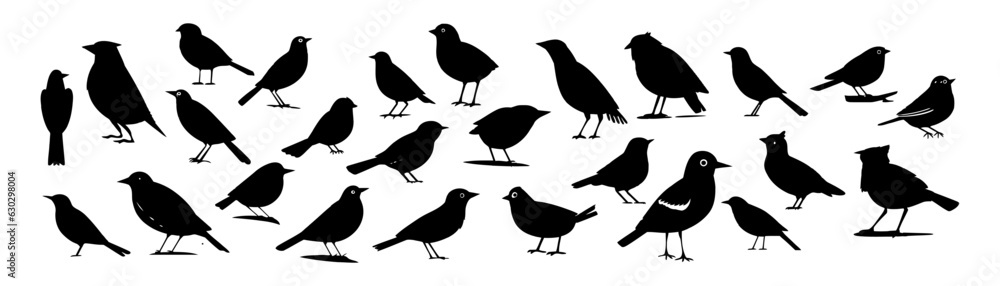 Wall mural Black silhouette bird set isolated on white background. Vector illustration - Wall murals