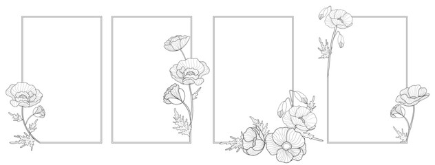 Set of romantic vertical rectangle frame with outline poppies. Floral design for labels, branding business identity, wedding invitation.  Vector illustration.