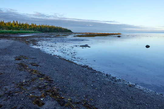 Northern seascape. Tersky coast of the White Sea. Murmansk region, Russia. The White Sea coast in Karelia in summer.