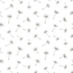 Floral background seamless pattern black and white with dandelion fluff silhouette. Beautiful nature backdrop. Trendy stylish wallpaper.