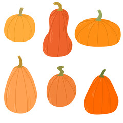Set of pumpkins. Pumpkin of different shapes and colors. Thanksgiving design. Autumn pumpkin