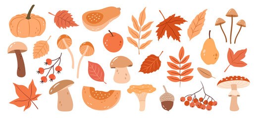 Vector set of hand-drawn autumn plants, leaves, pumpkins, mushrooms - obrazy, fototapety, plakaty