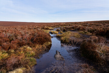 Icy puddles and thick mud on the footpaths across Burbage Edge.