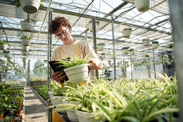 Naklejka na ściany i meble Young man with curly hair and in glasses is in greenhouse