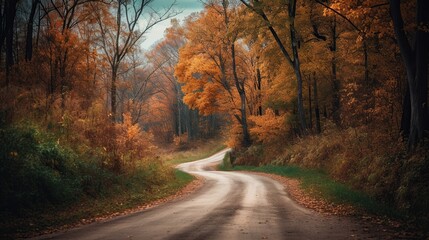 a winding country road with trees lining both sides, displaying their autumn colors,