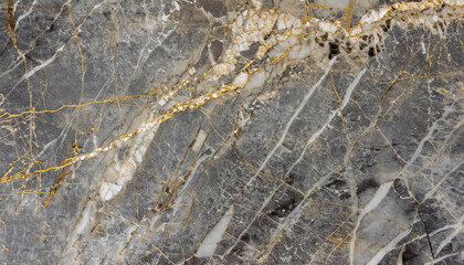 Gold and white Patterned natural of dark gray marble (Gold Russia) texture background for product design.