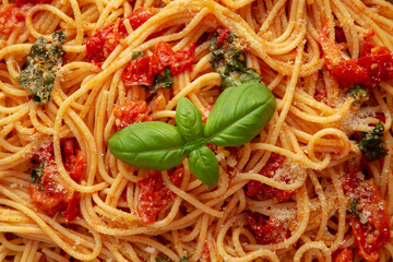 Homemade Spaghetti With Fresh Tomato Sauce on a Plate, top view. Flat lay, from above, overhead.
