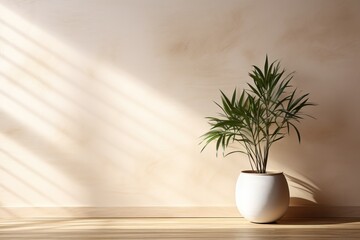 Beautiful house plant in the pot on wooden floor set beside the wall with sunbeam and shadow on light biege empty wall. Background, mockup backdrop. Green houseplant decoration. Products overlay