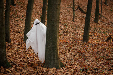 Funny ghost with black glasses peeking out of a tree in moody autumn forest. Person dressed with...