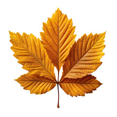 Twig with yellow leaves. Isolated on a transparent background.