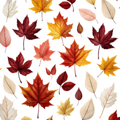 Background with falling leaves. Colorful autumn leaves are falling. Isolated on a transparent background.