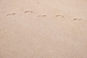 Fototapeta na wymiar Foot prints on the sand , Beach scene . Texture background 
