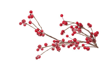 Christmas branch with red berries isolated a transparent background png