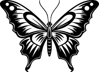 Butterfly | Black and White Vector illustration