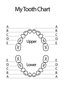 My tooth chart template. Clipart image