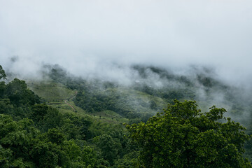 Green Season mountains in morning