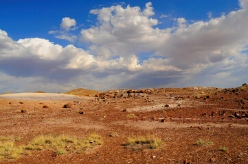Rugged and Desolate Landscape Petrified Forest Arizona