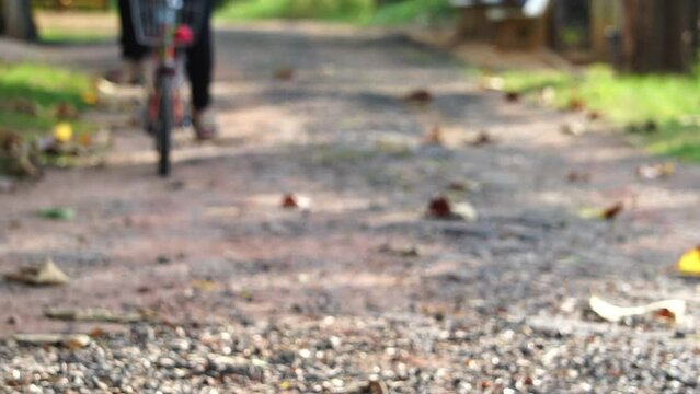 female feet cycling a bicycle in the morning park or boulevard