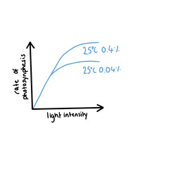 Photosynthesis Rate %CO2 Level Science Illustration Drawing Educational