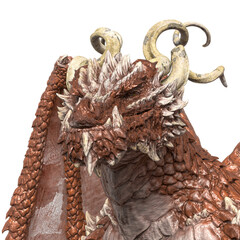 dragon king id portrait