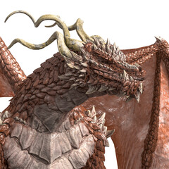 dragon king id portrait side view